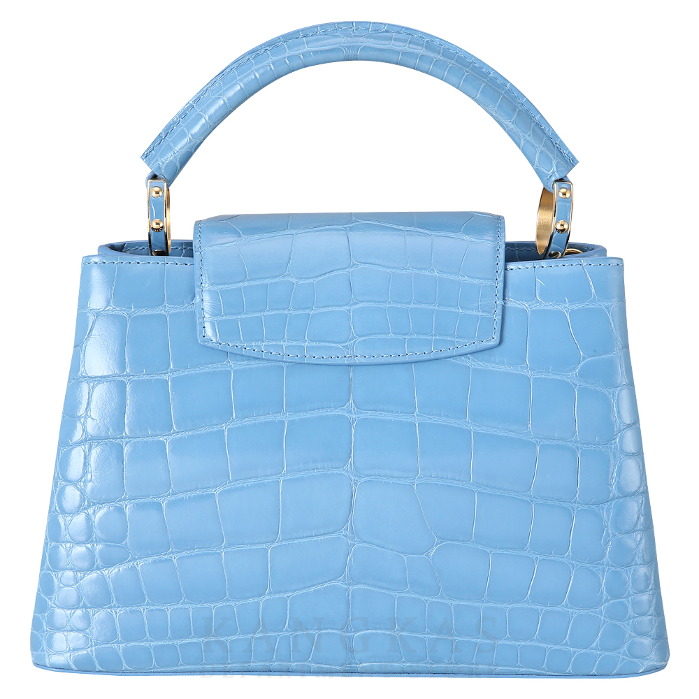LOUIS VUITTON(USED)루이비통 와니 카퓌신 BB